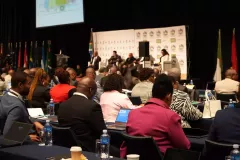 mp-g20-dialogue13