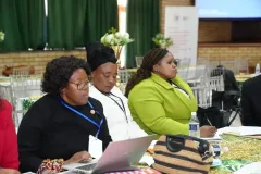 Zululand-District-Dialogue15