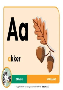 Gr 1 Term 1 & 2 2026 NHLRP HL Afrikaans Phonics Frieze