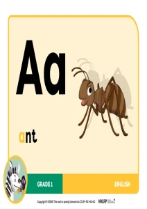 Gr 1 Term 1 & 2 2026 NHLRP HL English Phonics Frieze