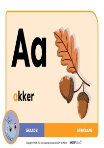 Gr 2 Term 1 & 2 2026 NHLRP HL Afrikaans Phonics Frieze