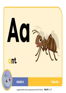 Gr 2 Term 1 & 2 2026 NHLRP HL English Phonics Frieze