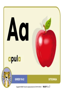 Gr 2 Term 1 & 2 2026 NHLRP HL Xitsonga Phonics Frieze