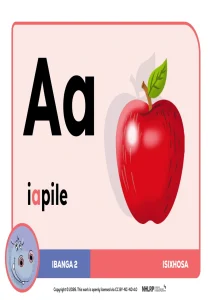 Gr 2 Term 1 & 2 2026 NHLRP HL isiXhosa Phonics Frieze