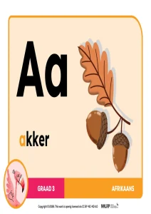 Gr 3 Term 1 & 2 2026 NHLRP HL Afrikaans Phonics Frieze