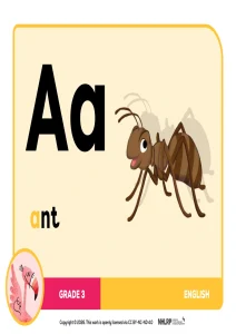 Gr 3 Term 1 & 2 2026 NHLRP HL English Phonics Frieze