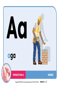 Gr 3 Term 1 & 2 2026 NHLRP HL Sepedi Phonics Frieze