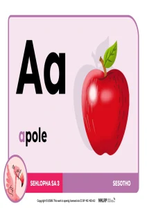 Gr 3 Term 1 & 2 2026 NHLRP HL Sesotho Phonics Frieze
