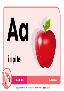 Gr 3 Term 1 & 2 2026 NHLRP HL isiXhosa Phonics Frieze