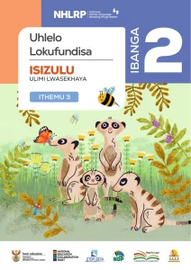 Gr 2 Term 3 2026 NHLRP HL isiZulu Teaching Plan